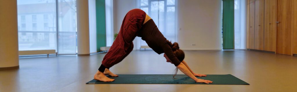 Hatha Yoga Cover-Bild